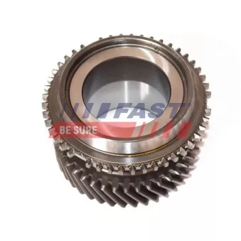 FAST FT62455 - Roue dentée, arbre intermédiaire