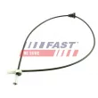 Câble flexible de commande de compteur FAST [FT71032]