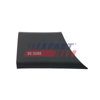 Baguette et bande protectrice, panneau latérale FAST OEM 768F20005R
