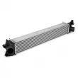 OE 1613994080 - Intercooler, échangeur