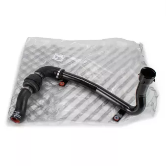 Gaine de suralimentation OE OEM 1617244480