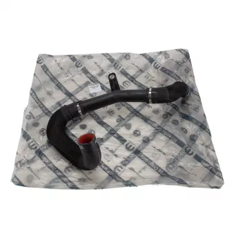 Durite de turbo OE OEM 1389890080
