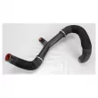 OE 1389890080 - Durite de turbo