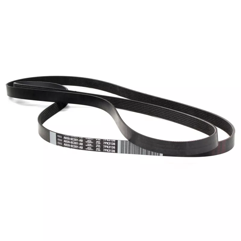 Courroie trapézoïdale à nervures OE 1720651 - Visuel 1