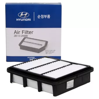 Filtre à air OE OEM 281132H000