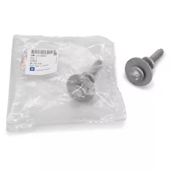 Vis torx (emballage de 2) OE OEM 302932