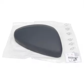 Rétroviseur extérieur OE OEM 1607513080