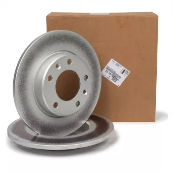 Jeu de 2 disques de frein arrière OE OEM 1642776280