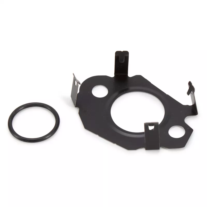 Jeu de joints d'étanchéité, système EGR OE 1610019580 - Visuel 1