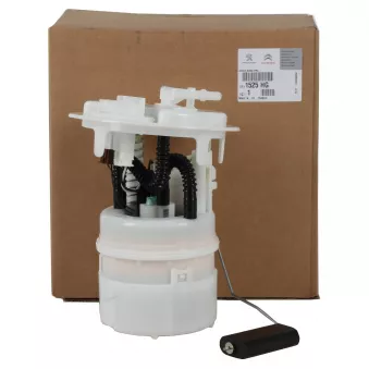 Unité d'injection de carburant OE OEM 1525HG