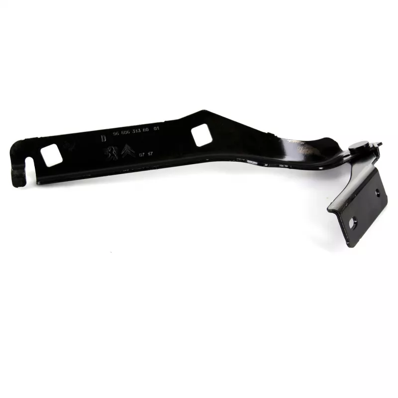 Charnière de capot OE 791345 - Visuel 1