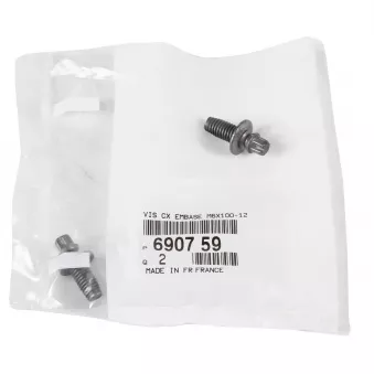 Vis de fixation / vis de socle (emballage de 2) OE [690759]