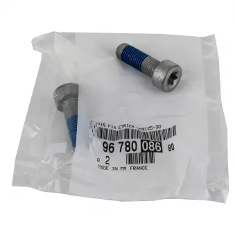 Vis hexagonale (emballage de 2) OE [9678008680]