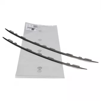 OE 1610745680 - Baguette et bande protectrice, grille de radiateur