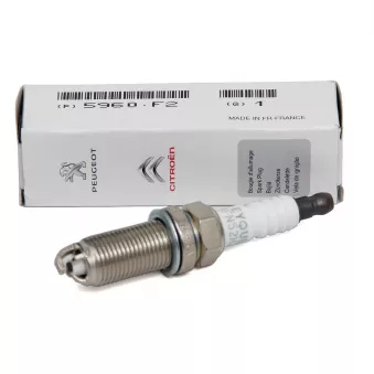 Bougie d'allumage OE OEM 596054