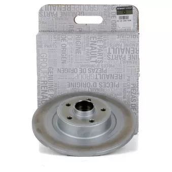Jeu de 2 disques de frein arrière OE OEM 432029079R