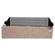 OE 144960015R - Intercooler, échangeur