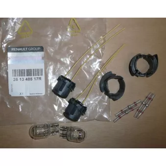 Kit de réparation ampoule P21WSLL OE [261348517R]