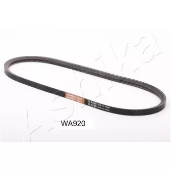 ASHIKA 109-WA920 - Courroie trapézoïdale