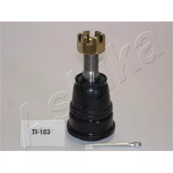 Rotule de barre de connexion ASHIKA OEM 401604F105