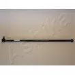 ASHIKA 111-0N-N041 - Rotule de barre de connexion