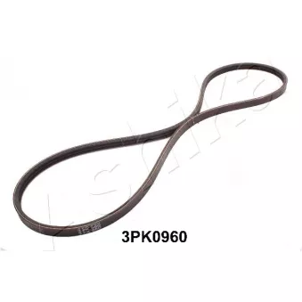 Courroie trapézoïdale à nervures ASHIKA OEM 4863835