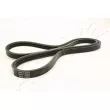 ASHIKA 112-3PK1000 - Courroie trapézoïdale à nervures