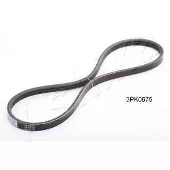 Courroie trapézoïdale à nervures ASHIKA OEM 571702D101