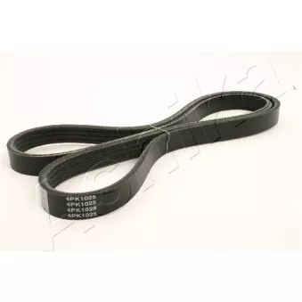 Courroie trapézoïdale à nervures ASHIKA OEM 56992PSA505