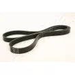 ASHIKA 112-4PK1120 - Courroie trapézoïdale à nervures