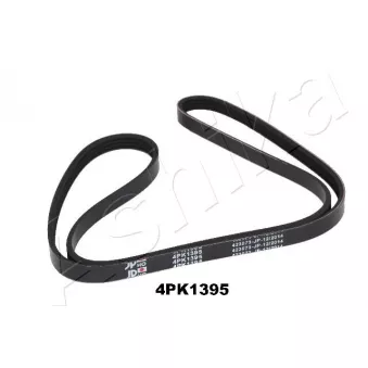 Courroie trapézoïdale à nervures ASHIKA OEM 4891519AE