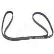 Courroie trapézoïdale à nervures ASHIKA [112-4PK1450]