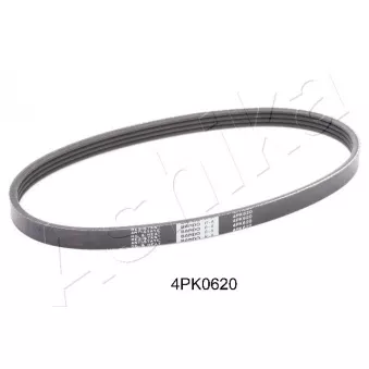 Courroie trapézoïdale à nervures ASHIKA OEM MD304060