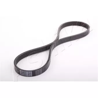 Courroie trapézoïdale à nervures ASHIKA OEM A195072B00
