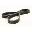 ASHIKA 112-4PK875 - Courroie trapézoïdale à nervures