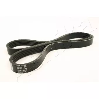 Courroie trapézoïdale à nervures ASHIKA OEM PQS100760EVA