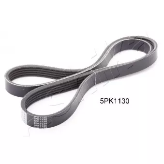 Courroie trapézoïdale à nervures ASHIKA OEM 4451A104