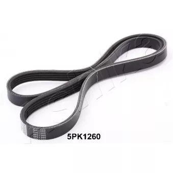 Courroie trapézoïdale à nervures ASHIKA OEM A0149971392