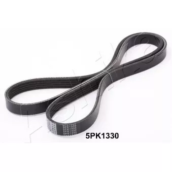 Courroie trapézoïdale à nervures ASHIKA OEM MD317245
