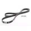 Courroie trapézoïdale à nervures ASHIKA [112-5PK1650]