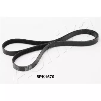 Courroie trapézoïdale à nervures ASHIKA 112-5PK1670