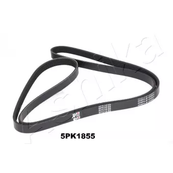 Courroie trapézoïdale à nervures ASHIKA 112-5PK1855