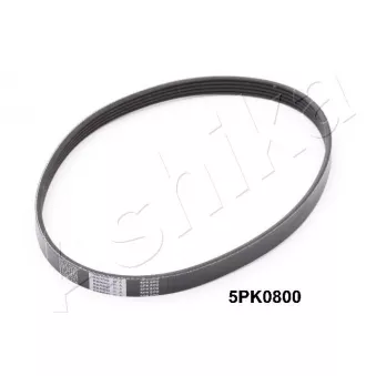 Courroie trapézoïdale à nervures ASHIKA OEM 1752161A00LCP