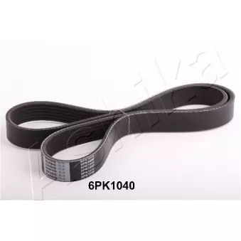 Courroie trapézoïdale à nervures ASHIKA OEM 993662104083