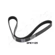 ASHIKA 112-6PK1125 - Courroie trapézoïdale à nervures