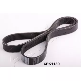 Courroie trapézoïdale à nervures ASHIKA OEM 117203527R