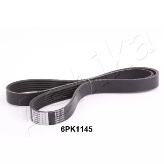 Courroie trapézoïdale à nervures ASHIKA OEM 3534086CB0LCP
