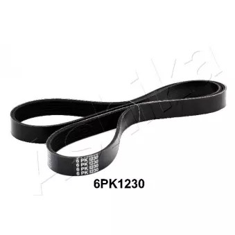 Courroie trapézoïdale à nervures ASHIKA OEM 99366K1230
