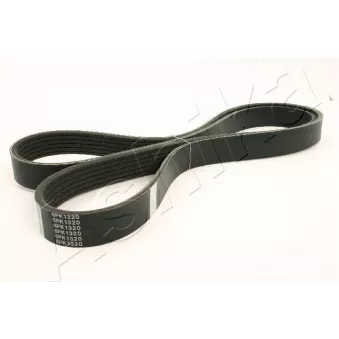 Courroie trapézoïdale à nervures ASHIKA OEM 55582046