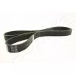 ASHIKA 112-6PK1395 - Courroie trapézoïdale à nervures